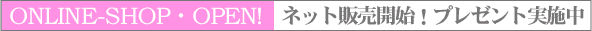 �l�b�g�̔��J�n�I�v���[���g�L�����y�[�����{��